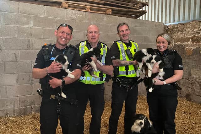 The team of police officers who helped reunite the puppies with their mother.