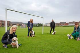 Scottish SPCA chief executive Kirsteen Campbell, with Martha. Edinburgh Eastern MSP Ash Denholm with Lexie; Gilly Mendez-Ferreira with Chester and Jackie Massie from the Rock Trust with Bruce.