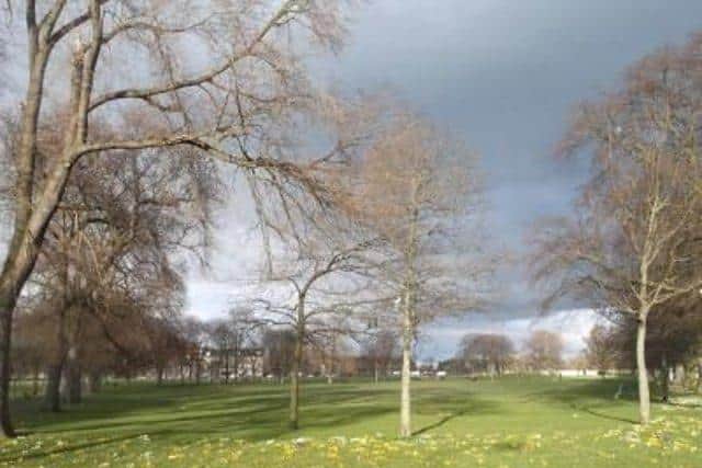 Trees company: Arboretum planned for Leith Links