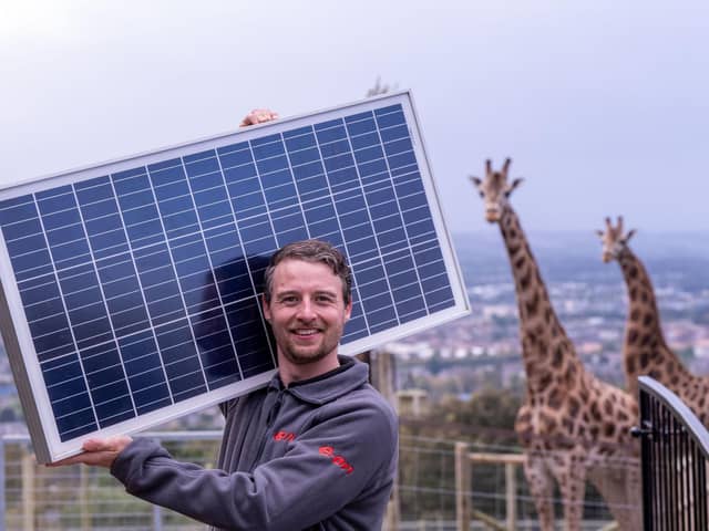 The solar panels which can potentially generate up to 880,000 kWh of power a year and produce around a quarter of the conservation charity’s annual electricity consumption. Photo: RZSS