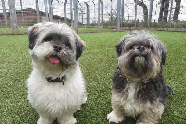 The Scottish SPCA is appealing to the public to donate wet dog food to help the Edinburgh and Lothians Animal Rescue and Rehoming Centre.