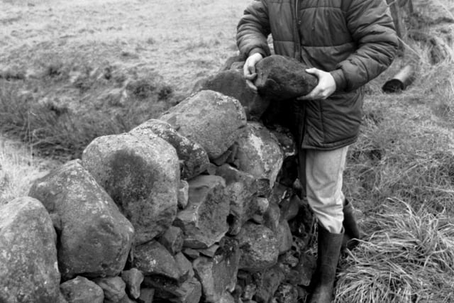Brian Morrison repairing drystane dykes in the Pentland Hills near Edinburgh in February 1985