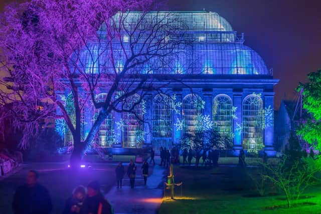 Christmas at the Botanics allows visitors to wander beneath diverse tree canopies, with the experience enhanced by a soundtrack of festive classics (Photo: Shutterstock)