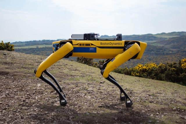 Walkies.. the robot dog tackles Blackford Hill in Edinburgh