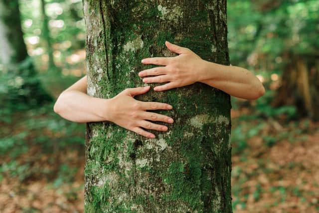 Tree Huggers will gather at Darnel Country Park on September 7