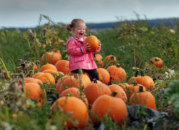 10 spooktacular things to do in Derbyshire for October half term.