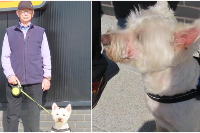Andy Henderson, 75, and his West Highland Terrier Angus were said to have both been attacked by an out-of-control dog