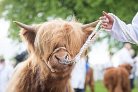 The Royal Highland Show is urging visitors to snap up the few remaining tickets as demand soars for the event, which takes place next week.