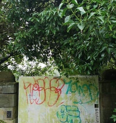 The graffiti tags before street artist Tragic O’Hara got to work creating his colourful kingfisher mural.