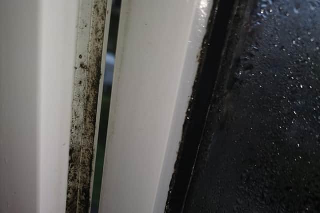 Mould and damp issues showing at Lisa Brown's temporary accommodation in Gracemount picture: Lisa Brown