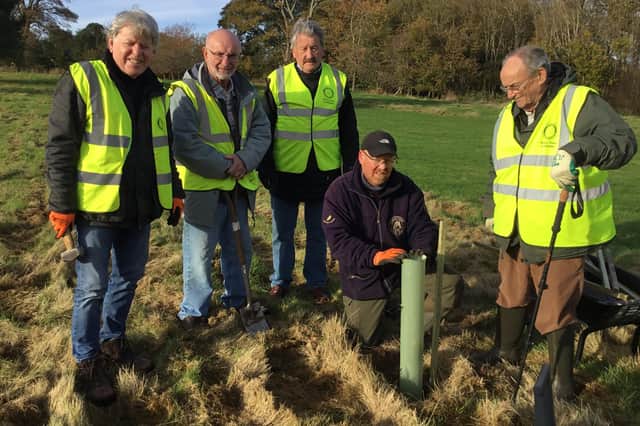 Planting oak saplings to best effect is shown to Bobby Dodds, Ian Hackett, Dalkeith Rotary club president Clark Watson and Ralph Warwick by Countryside Ranger Alan Krumholds.