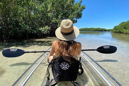 “What a wonderful and relaxing way to spend the day - kayaking in beautiful blue water and meandering in and out of mangroves. Our fabulous guide was full of information.”