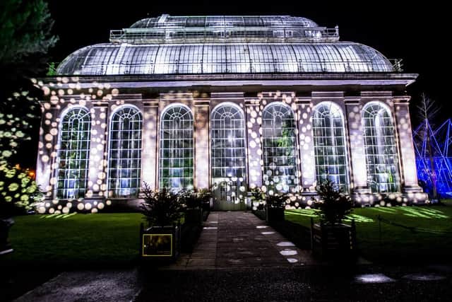 Be amongst the first to see this year's light show and for free