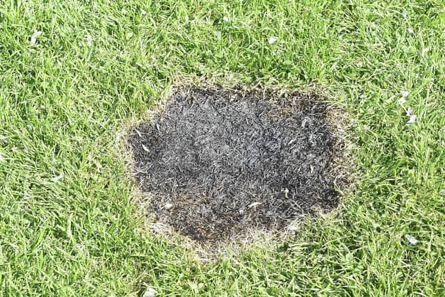 Damage from a disposable barbecue on the Meadows in May 2019 (Photo: Greg Macvean)