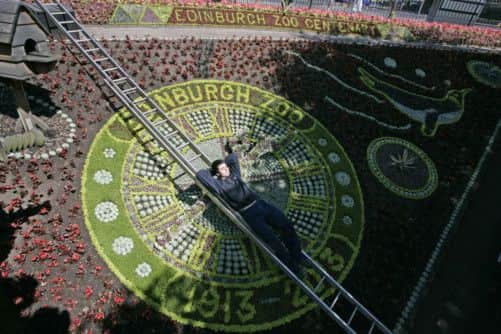 The finished Edinburgh floral clock. Picture: Toby Williams