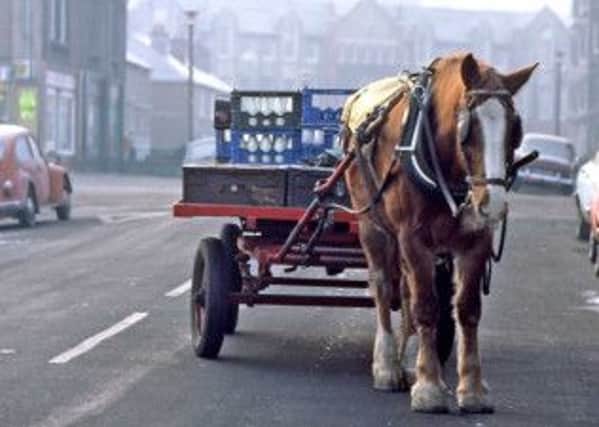 The last milk delivery by horse in Edinburgh. Picture: TSPL