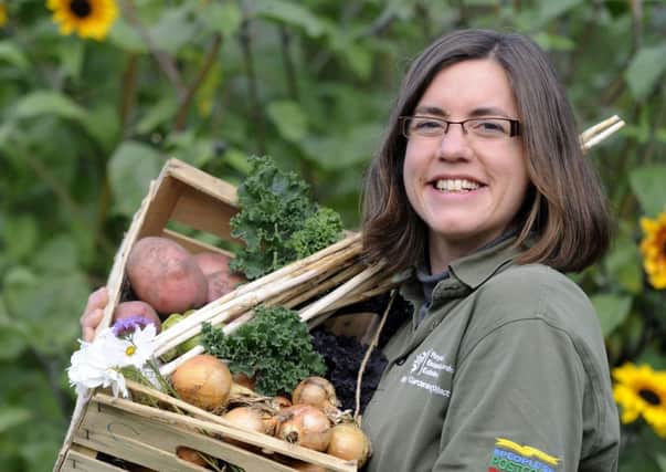 Jenny Foulkes, project manager of the Harvest Festival. Picture: Esme Allen