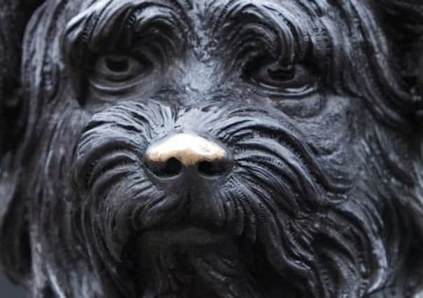 Greyfriar's Bobby has a shiny nose. Picture: Joey Kelly