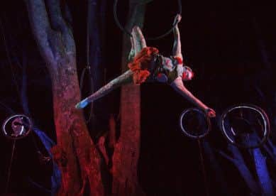 Danuta Ramos aerialis t
at Embrace. Pic: Comp
