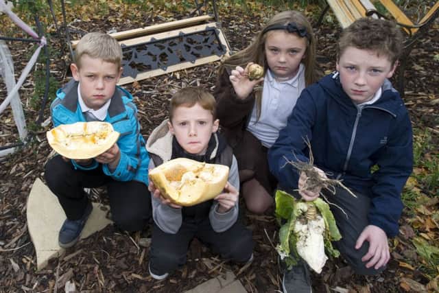 Pupils were shocked at damage to garden. Picture: Lesley Martin
