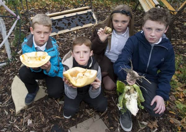 Pupils were shocked at damage to garden. Picture: Lesley Martin