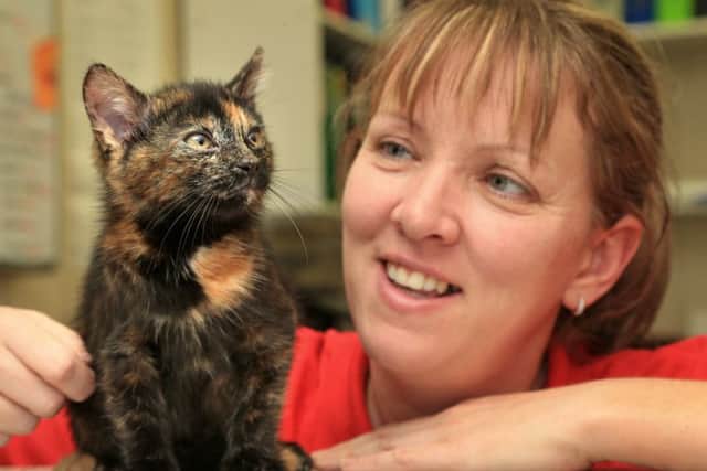 Nicola Zelent, warden at Lothian Cat Rescue, with Harry the very rare  wonder cat. Picture: Gordon Fraser