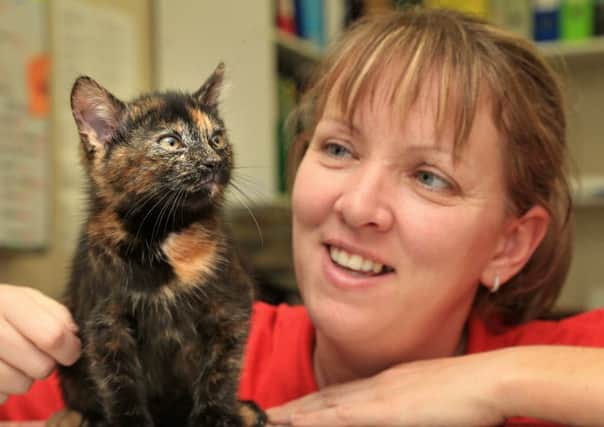 Nicola Zelent, warden at Lothian Cat Rescue, with Harry the very rare  wonder cat. Picture: Gordon Fraser