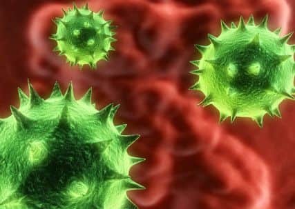 A close up of the Norovirus bug.