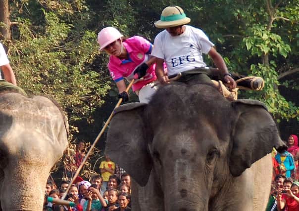 Sam Prentice in the World Elephant Polo Championships in Nepal. Picture: SWNS