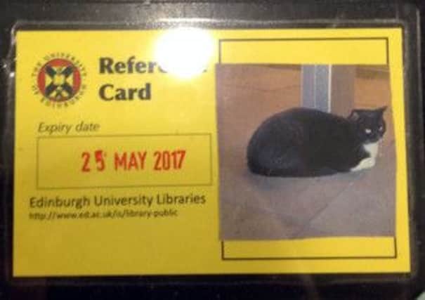 The library card issued to Jordan the cat.