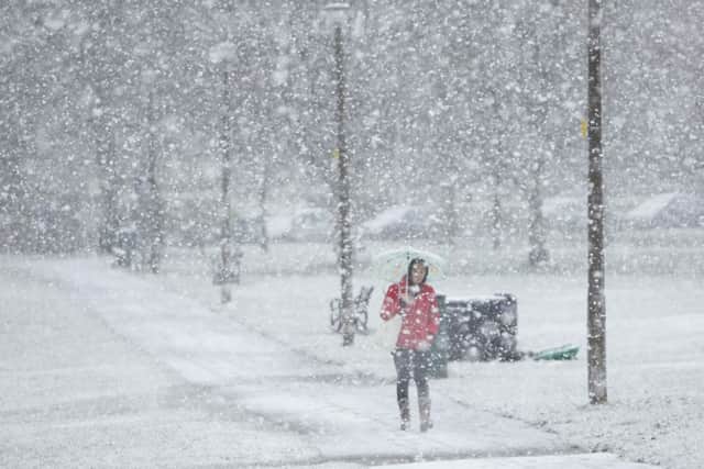 Could it be a white Christmas this year? Picture: Toby Williams