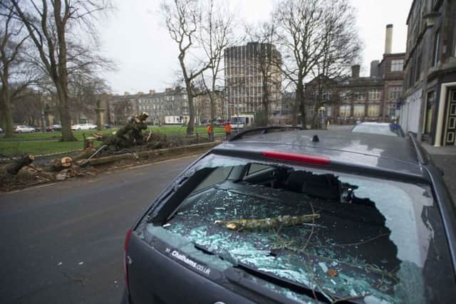 A car was damaged by a falling tree at the Meadows. Picture: Jane Barlow