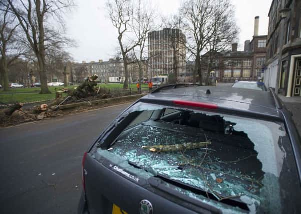 A car was damaged by a falling tree at the Meadows. Picture: Jane Barlow