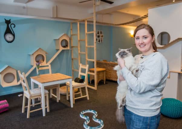 Owner Laura O'Neill at Maison De Moggy, Scotlands first Cat Cafe. Picture: Ian Georgeson