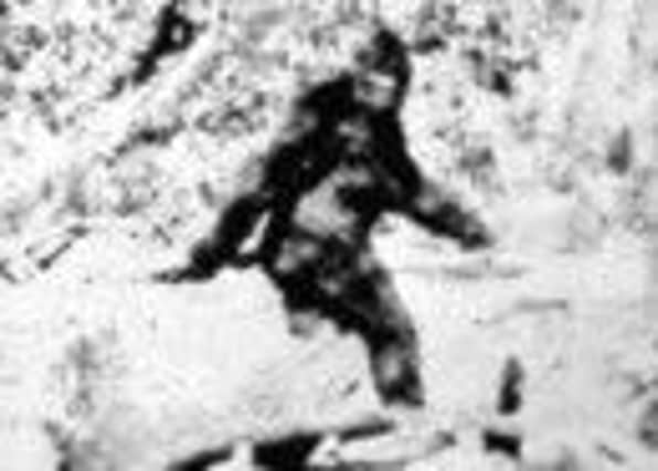 A famous image of bigfoot taken by Roger Patterson and Bob Gimlin 1967. Pic: AP Photo