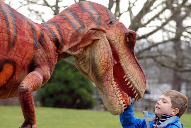 Euan Morrison meets Vlema, the 
first dinosaur to 'hatch' at Edinburgh Zoo. Picture: Lisa Ferguson