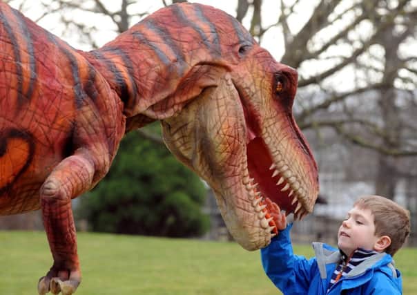 Euan Morrison meets Vlema, the 
first dinosaur to 'hatch' at Edinburgh Zoo. Picture: Lisa Ferguson