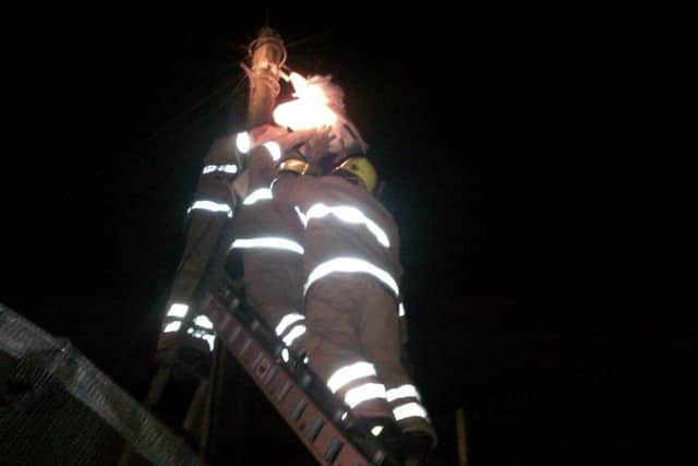 Firefighters help the swan. Picture: Scottish SPCA