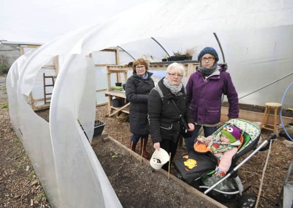 Eileen May, Linda Rodgers and Linda Furley with daughter Erin inside the ruined polytunnel. Picture: Phil Wilkinson