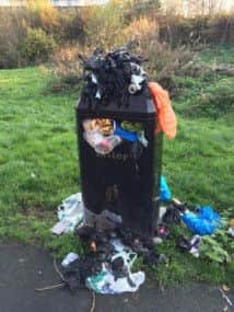 Bin collections and dog mess are a problem. Picture: 

Paul Cockburn