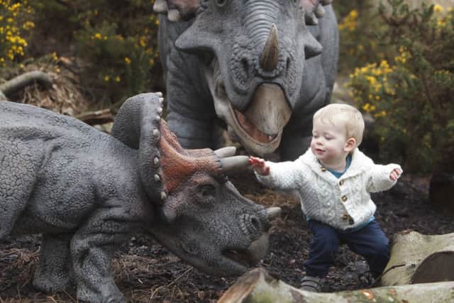One-year-old Toby meets the dinosaurs. Picture: Toby Williams