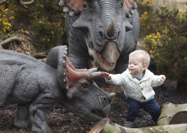One-year-old Toby meets the dinosaurs. Picture: Toby Williams
