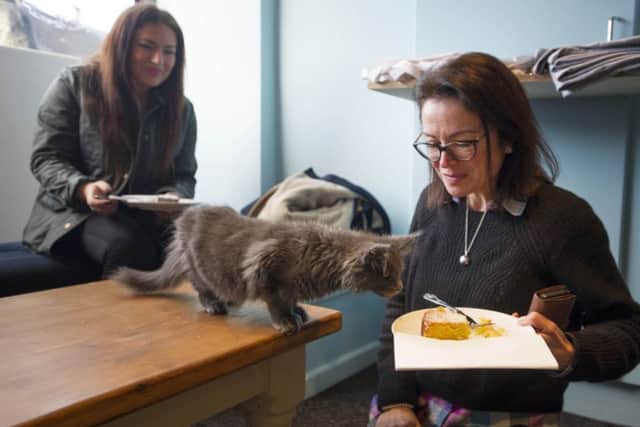Lois and Michelle Stuart try out the cat cafe in its temporary location in Stockbridge. Picture: Jane Barlow