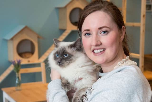 Maison de Moggy owner Laura O'Neill. Picture: Ian Georgeson