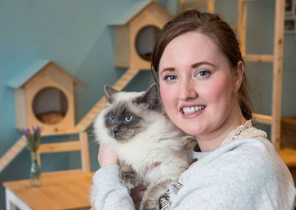 Maison de Moggy owner Laura O'Neill. Picture: Ian Georgeson