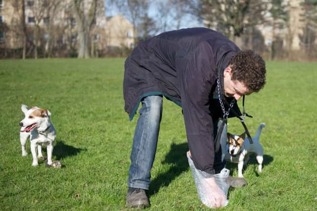 A responsible owner picks up after his dog. Picture: Joey Kelly
