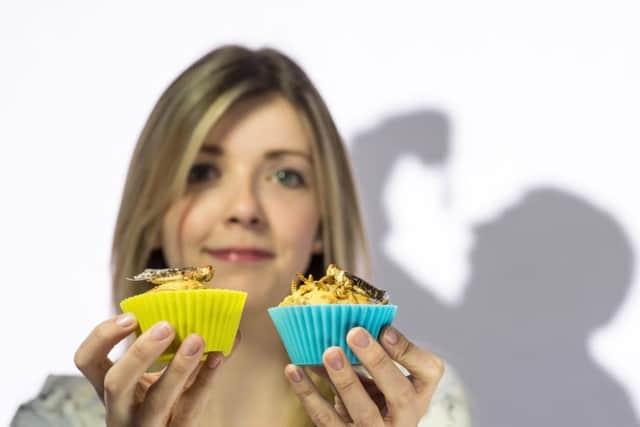 Courtney Yule wants to get you eating insects.