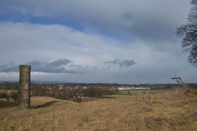 Land at Cammo is among sites identified for housing in the Local Development Plan. Pic: Jon Savage