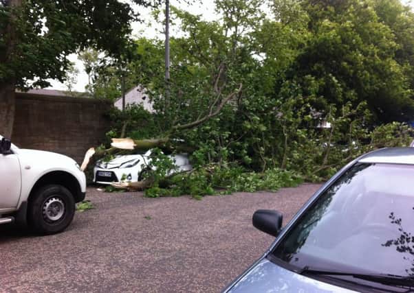 Some cars were damaged by falling branches. Picture: Colin Walker
