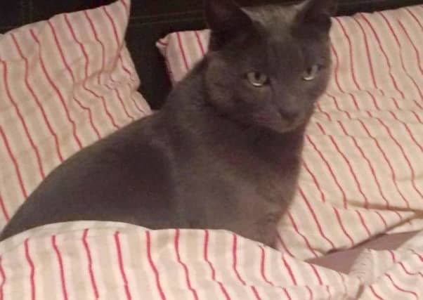 Albert was found at the fire-damaged bingo hall.